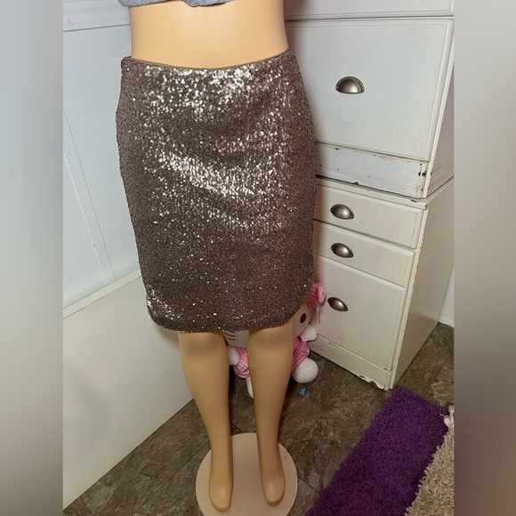 Sequin Skirt in Shimmering Silver - Picture 1 of 5
